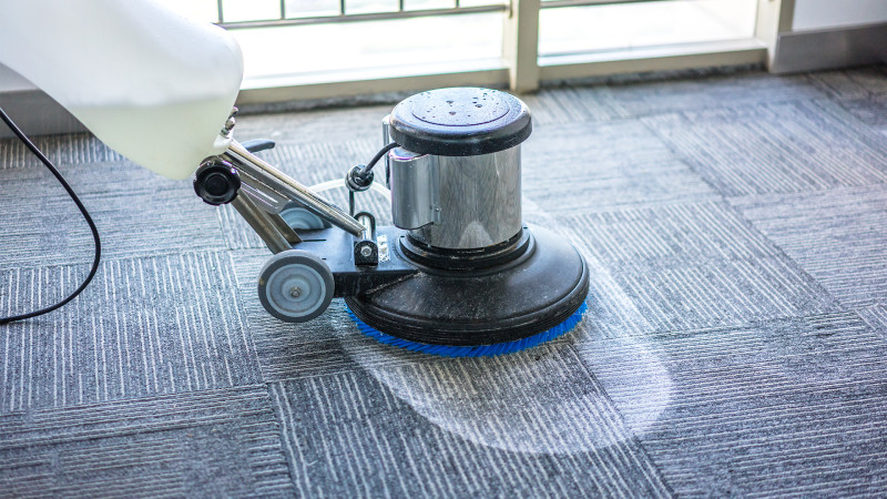 Commercial carpet steam cleaning services in Fort Collins for spotless, odor-free floors.